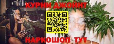 стафф Донецк