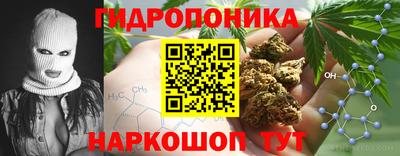 стафф Донецк