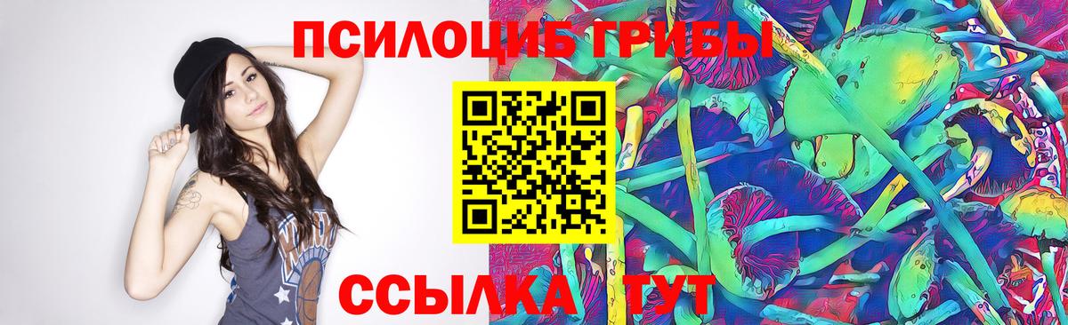 Лосино-Петровский  Псилоцибиновые грибы MAGIC MUSHROOMS  Вход с VPN 
